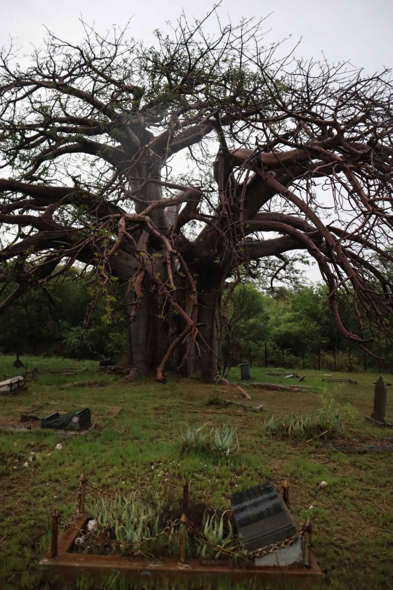 2. Overview / Oorsig