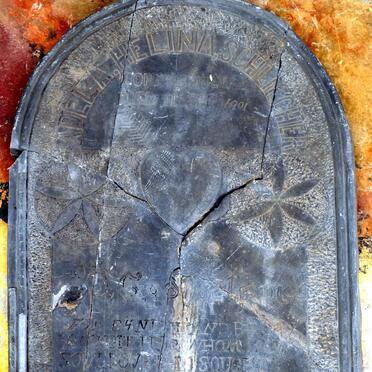 SCHLIECHER, Adela Helina 1882-1901