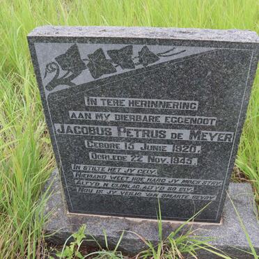 MEYER Jacobus Petrus, de 1920-1945