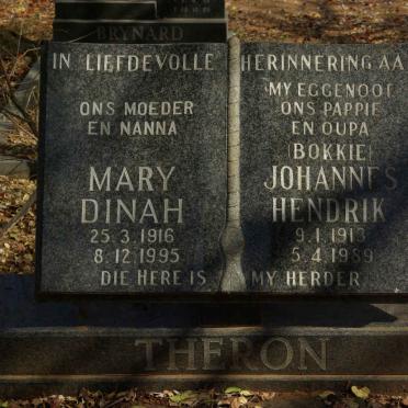 T - Vanne :: Surnames - T