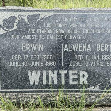 WINTER Alwena Bertina 1959-1959 :: WINTER Erwin 1960-1960