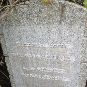 CELLIERS Maria J.L.1859-1926