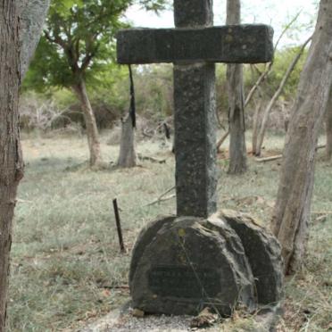 SCHWELLNUS Theodor 1876-1926