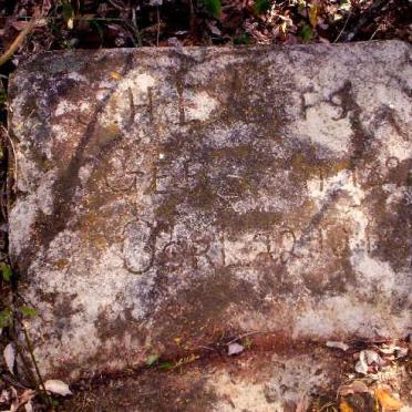 Limpopo, SOUTPANSBERG district, Makhado, Boschkopje 315 LS, farm cemetery