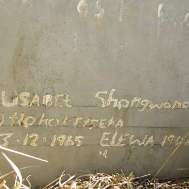 Limpopo, THABAZIMBI district, Marakele National Park, Marakeli 437, farm cemetery
