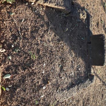 Limpopo, THABAZIMBI district, Olifantsdrif, Beaufort 27, farm cemetery
