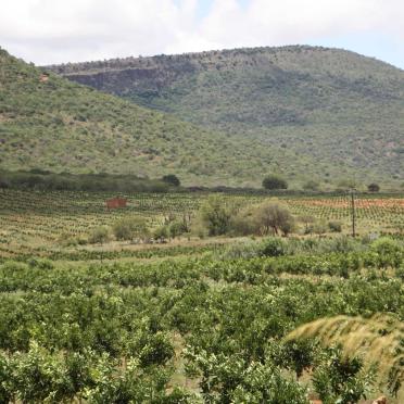 1. Overview / Oorsig