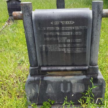 NAUDE Johannes Stefanus 1882-1936