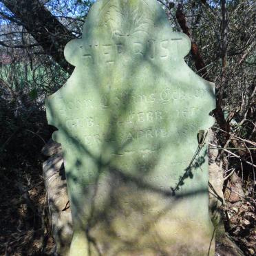 ECKLEY John Collins 1875-1895