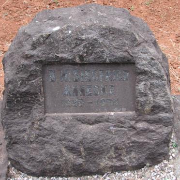 A - Surnames :: Vanne - A