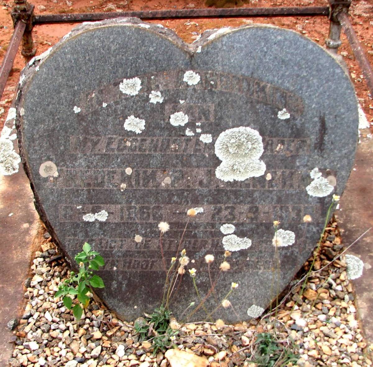 SENEKAL Frederik P.J. 1866-1938