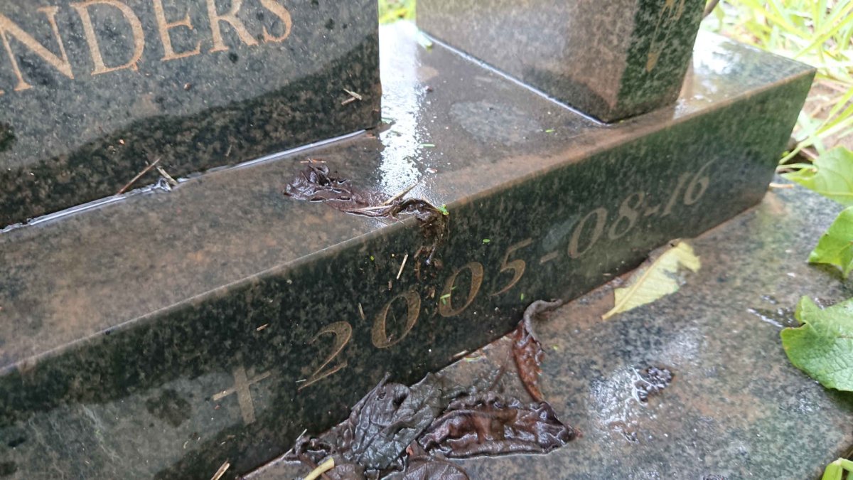 SCHAAP Sybren 1956-2005