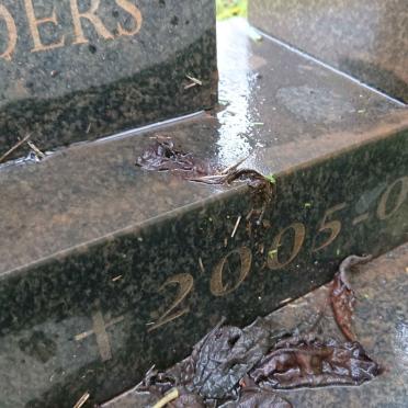 SCHAAP Sybren 1956-2005