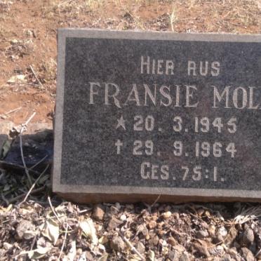 Limpopo, WATERBERG district, Modimolle, Boekenhoutskloof 187KR_1, farm cemetery