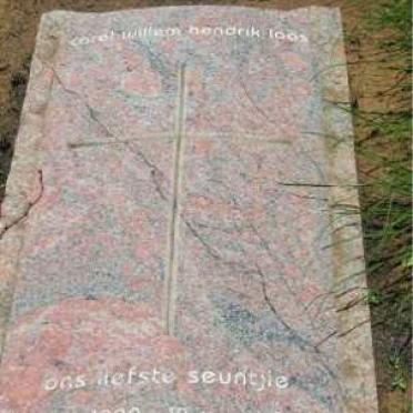 LAAS Carel Willem Hendrik 1992-1994