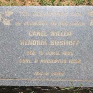 BOSHOFF Carel Willem Hendrik 1883-1936