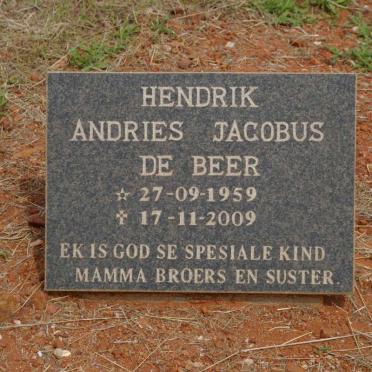 BEER Hendrik Andries Jacobus, de 1959-2009