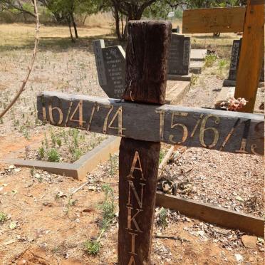 SMALL Ankia 1974-2013