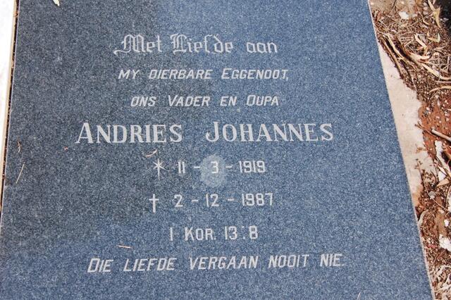 ? Andries Johannes 1919-1987