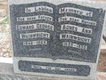 WAINWRIGHT Edward George 1848-1909 & Agnes Ann 1859-1939