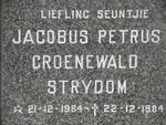 STRYDOM Jacobus Petrus Groenewald 1984-1984