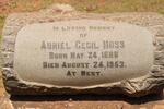 MOSS Aurial Cecil 1888-1953