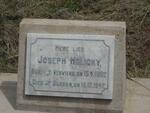 HOLICKY Joseph 1902-1942