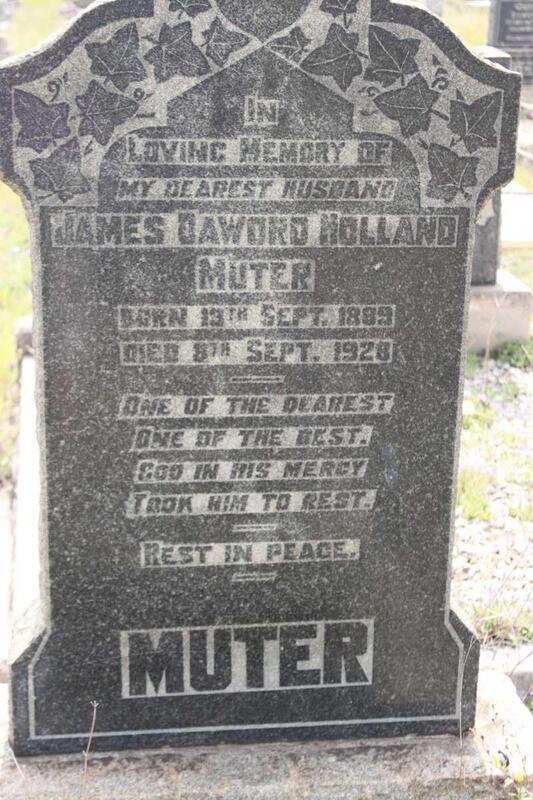 MUTER James Daword Holland 1889-1928 