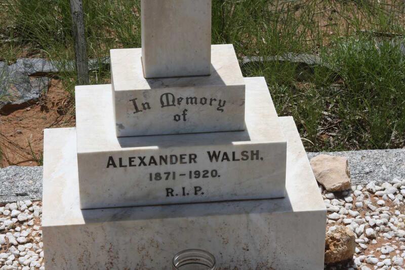 WALSH Alexander 1871-1920