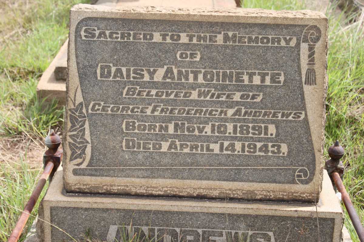 ANDREWS Daisy Antoinette 1891-1943