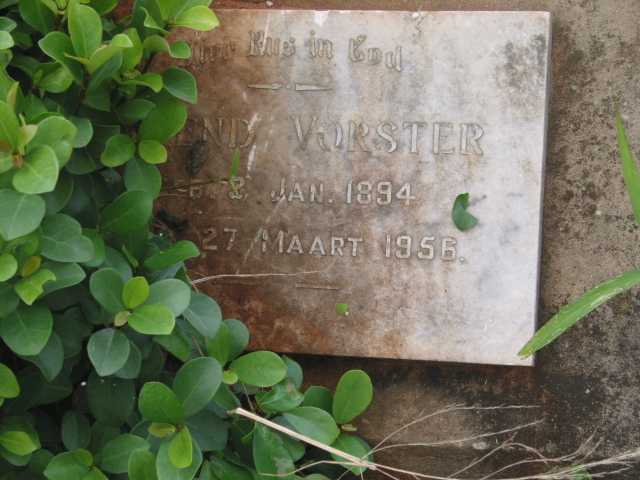 VORSTER Barend 1894-1956