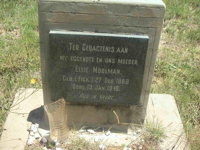 MOOLMAN Ellie nee FICK 1868-1940