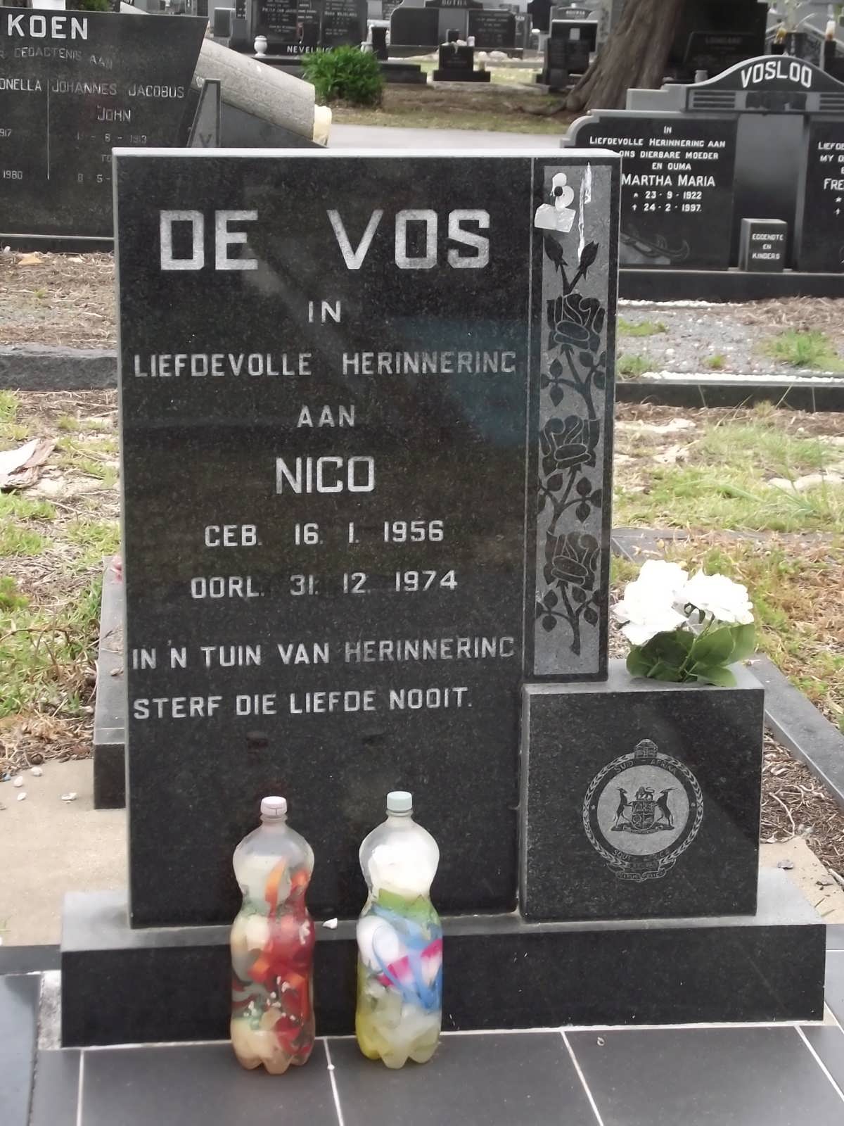 VOS Nico, de 1956-1974