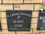 DAND Blinks 1912-1996