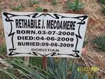 MECOAMERE Rethabile J. 2008-2009