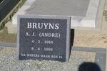 BRUYNS A.J. 1969-1995