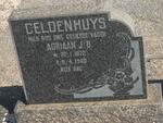 GELDENHUYS Adriaan J.B. 1872-1960