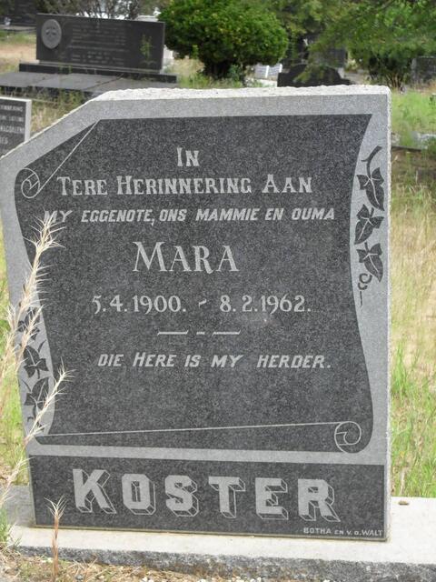 KOSTER Mara 1900-1962