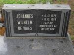 VRIES Johannes Wilhelm, de 1979-1979