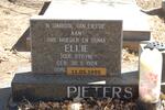 PIETERS Cornelius 1919-1993 & Ellie STEYN 1924-1995