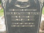 BAKKES Cecilia Catharina 1900-1938