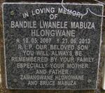 HLONGWANE Bandile Lwanele Mabuza 2007-2013