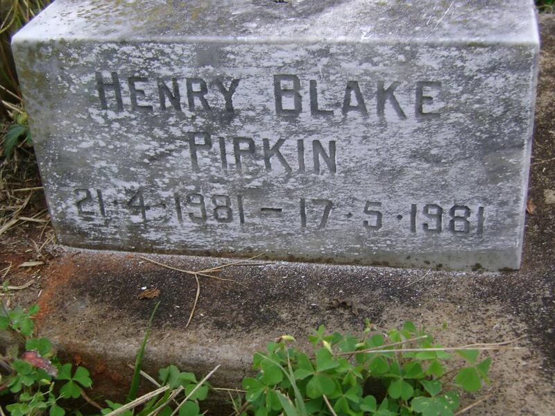 PIPKIN Henry Blake 1981-1981