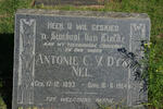NEL Antonie C.v.Dyk 1893-1954