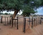 Namibia, OMAHEKE region, Gobabis, Sandfontein no. 468, farm cemetery
