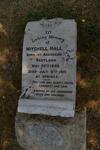 HALL Mitchell 1868-1915