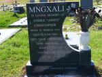 MNGXALI Andile Christopher 1955-2002