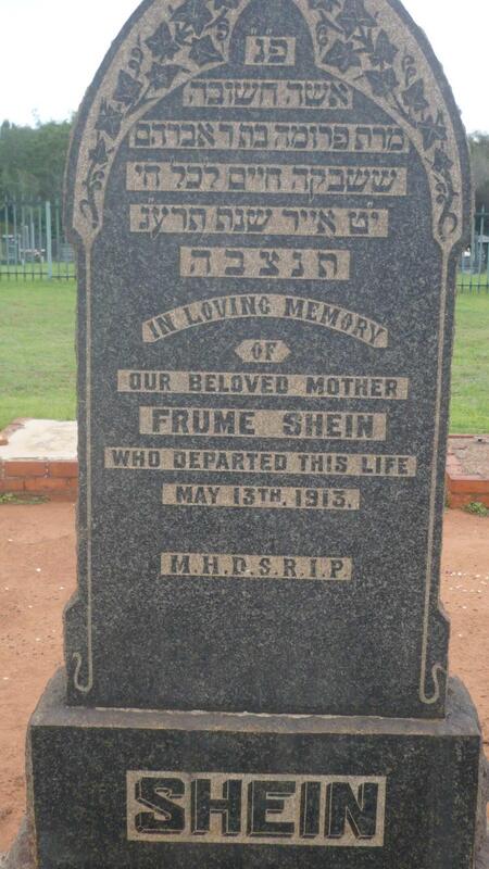 SHEIN Frume -1913