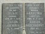 BADENHORST Jacob Adrian Jacobus -1966 & Elsje Carolina LOURENS 1871-1947