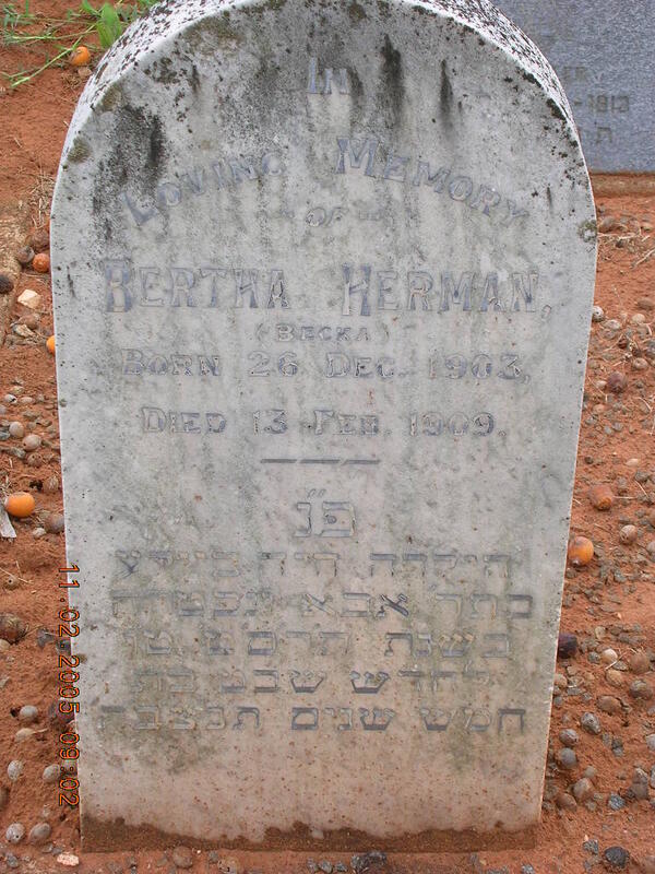 HERMAN Bertha 1903-1909